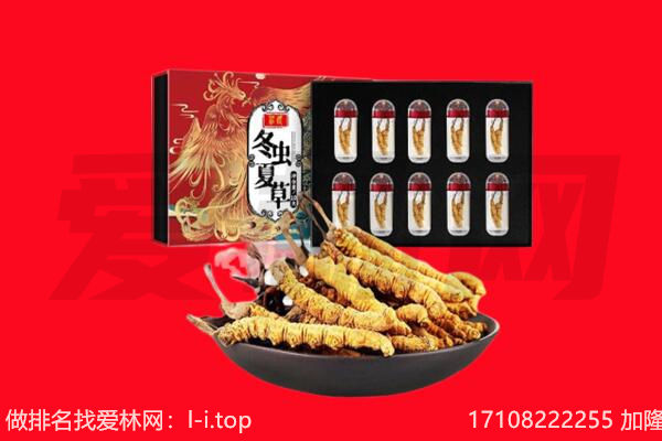 图们市回收虫草.jpg